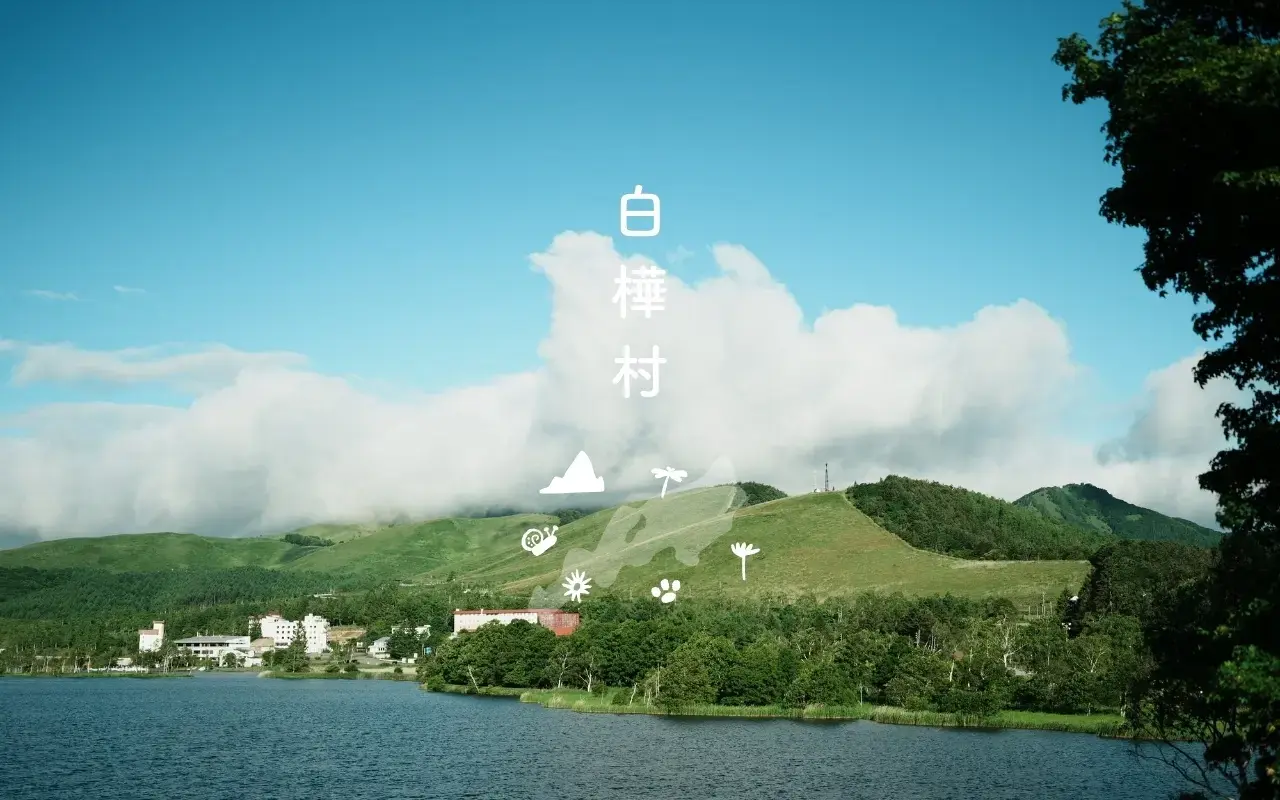 エリアアセマネ会社　(株)白樺村